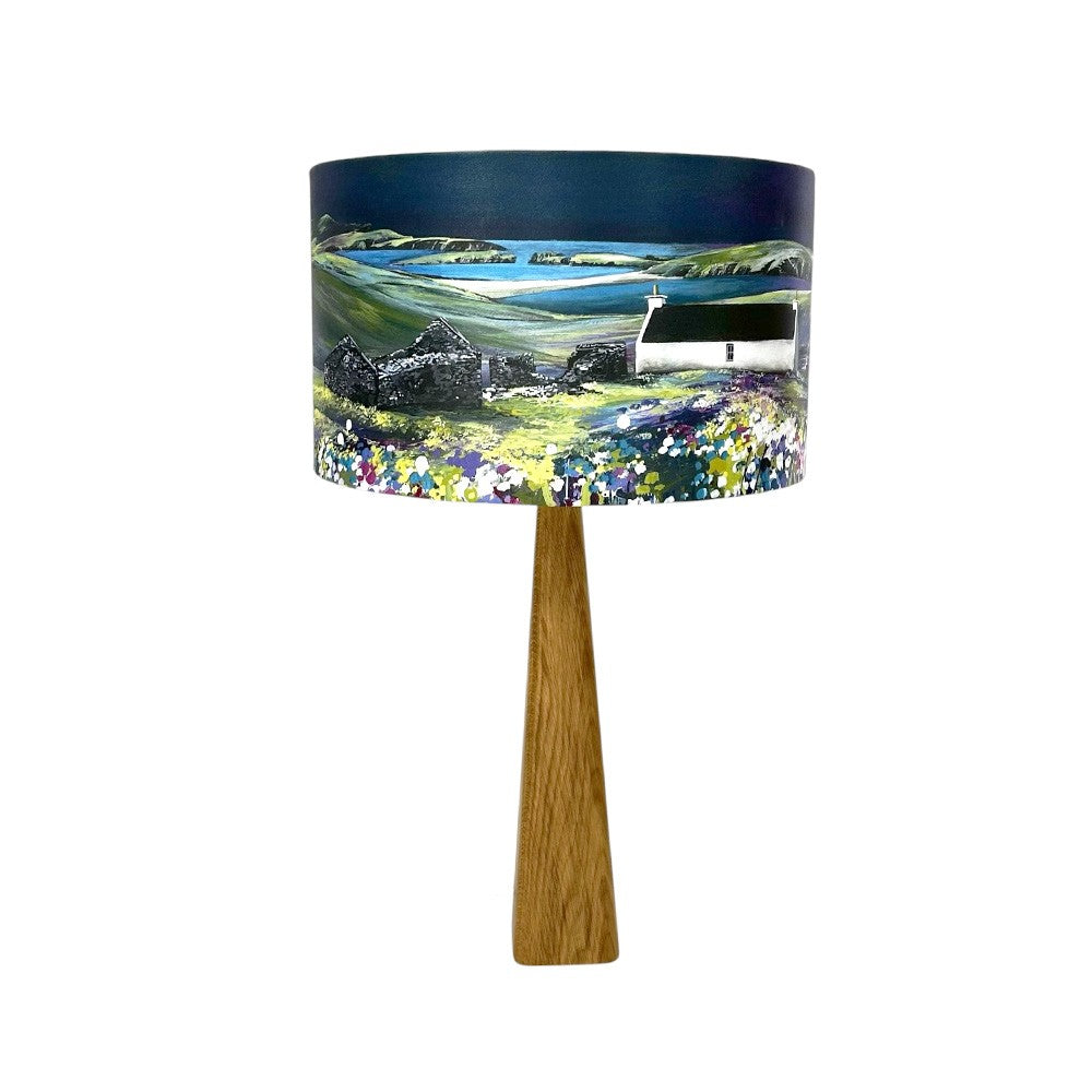 Mirrie Dancers over St Ninian's Isle Lampshade