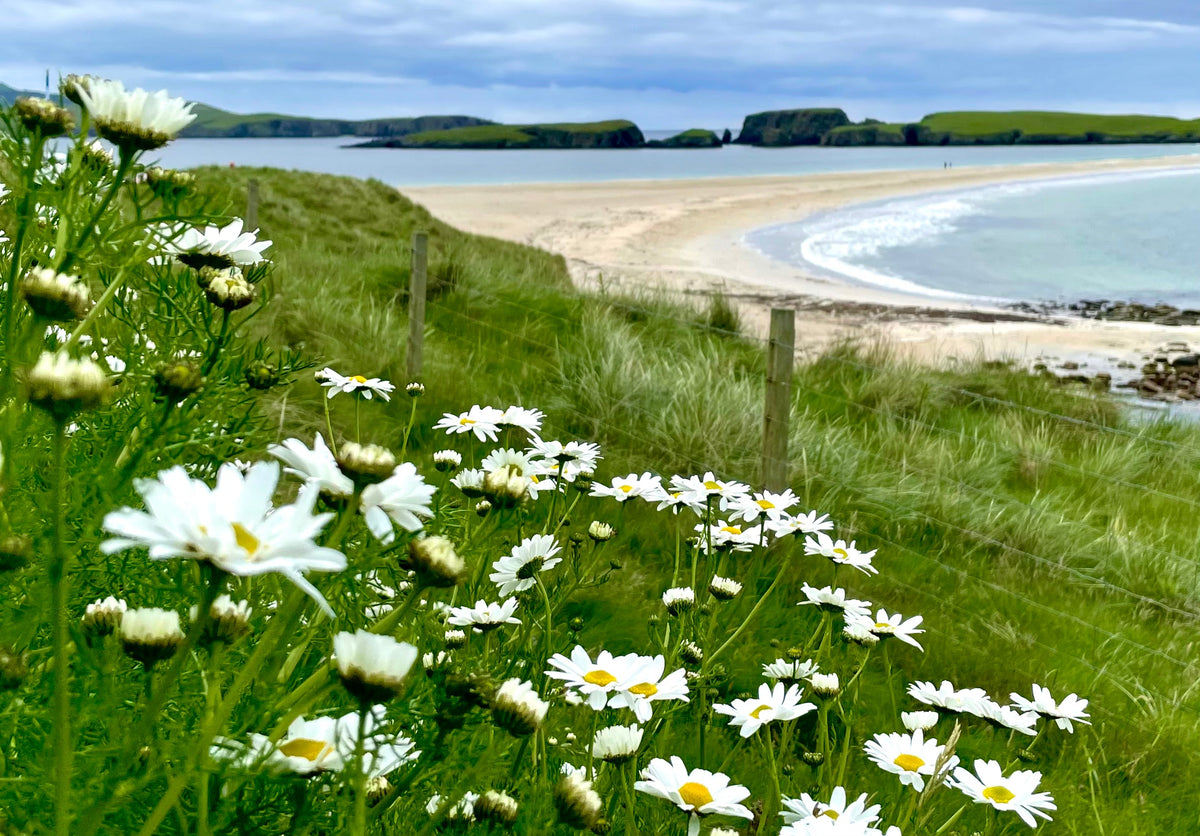 Letters From Shetland: October 2026