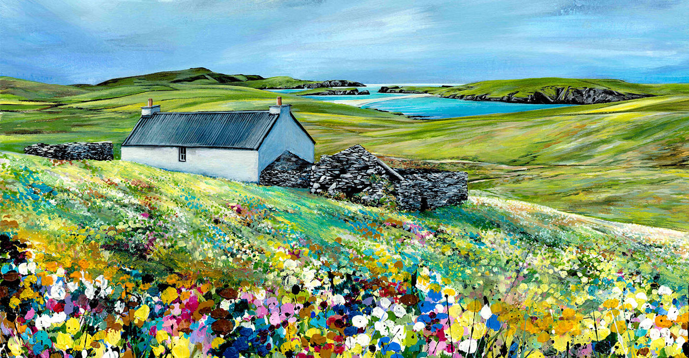 A Blanket of Colour