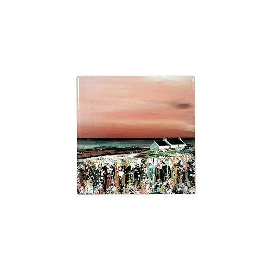 Nightfall at Levenwick Coaster