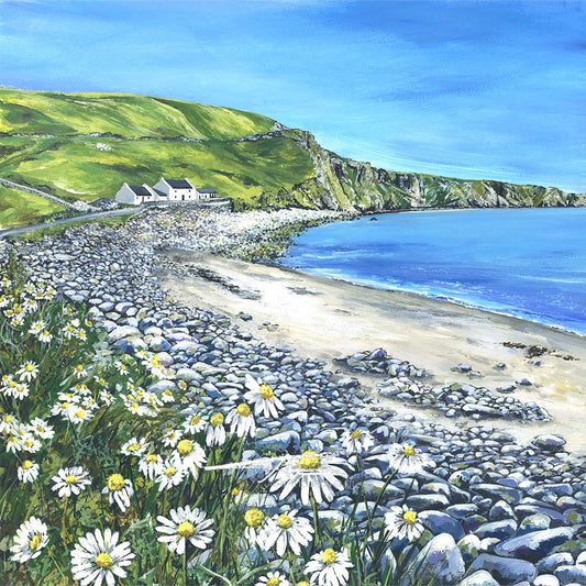 Daisies by Norwick Beach
