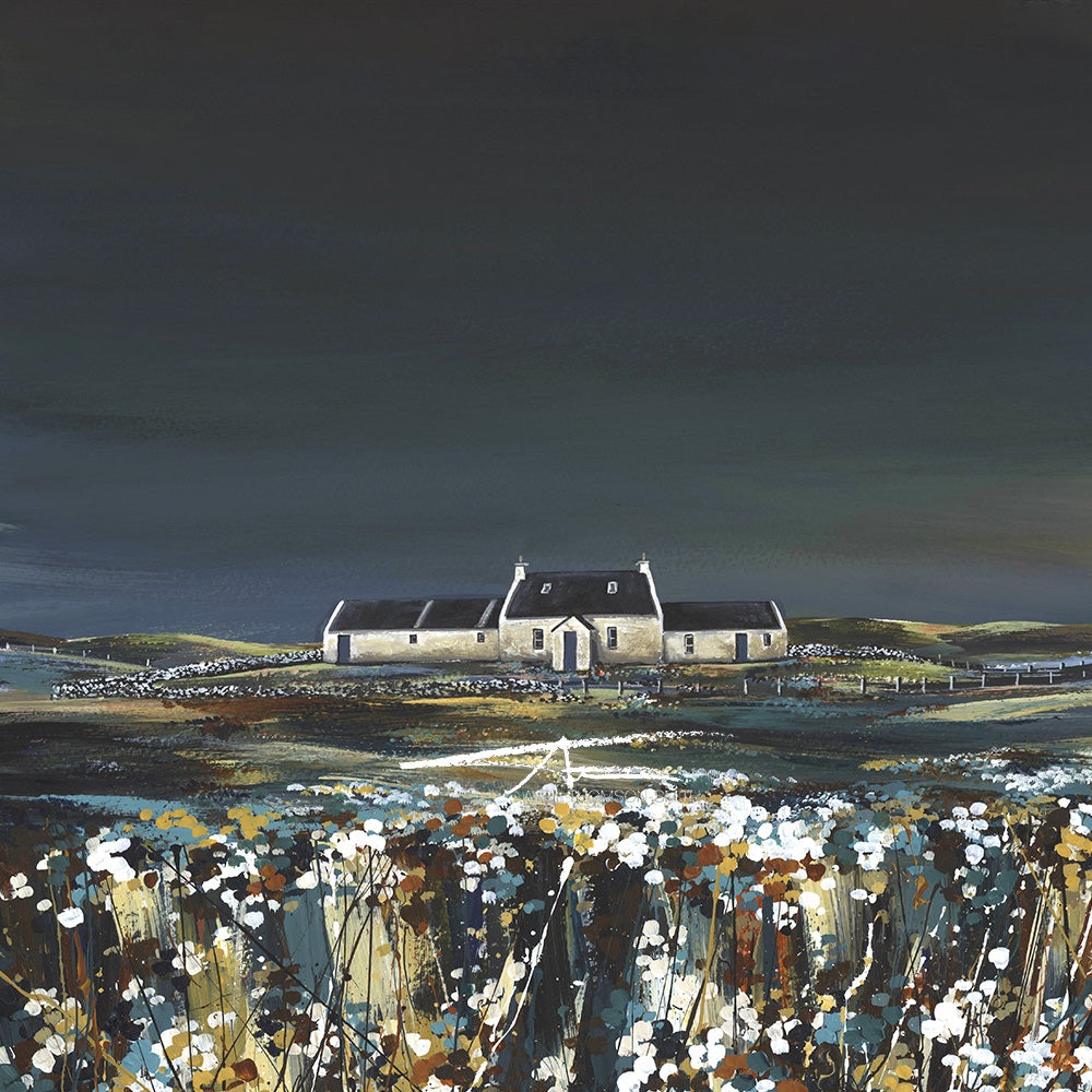 Moonlight in Haroldswick