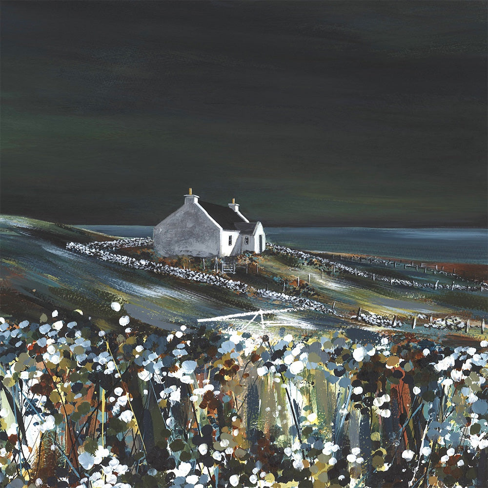 Calm Night at Burravoe