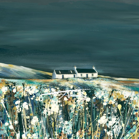 Midnight Shimmer (Scarvister)