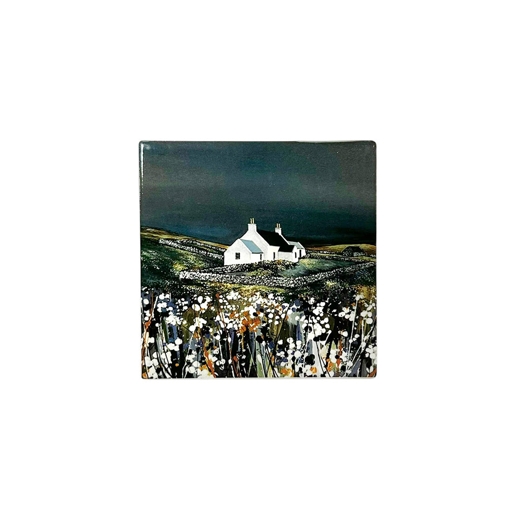 Walls by Night Coaster