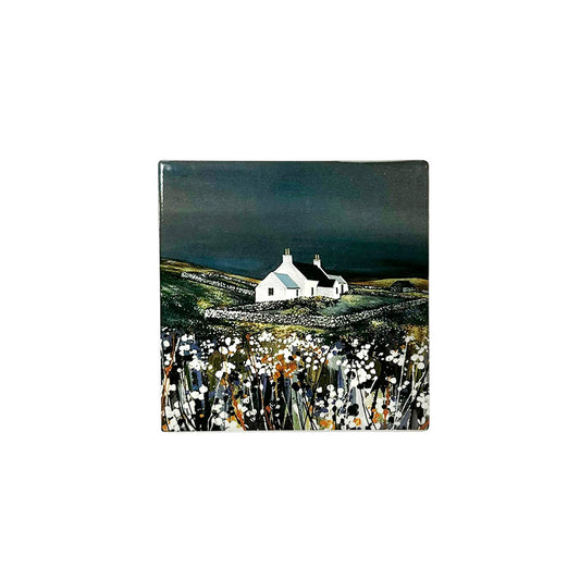 Walls by Night Coaster