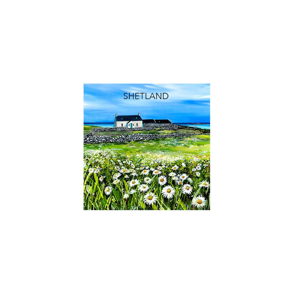 A field of daisies magnet