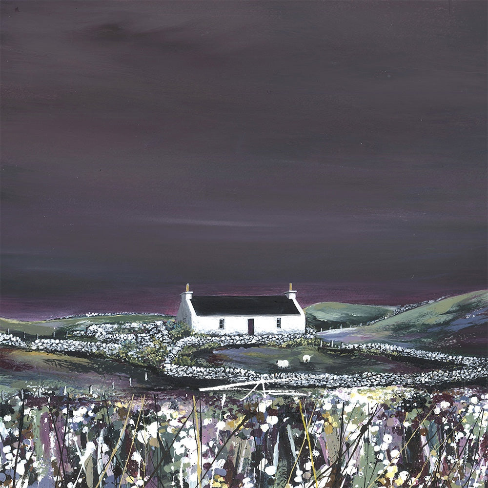 West Burrafirth by Night