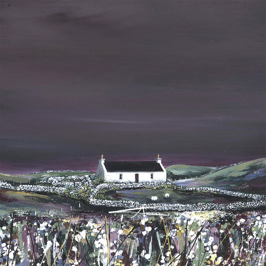 West Burrafirth by Night