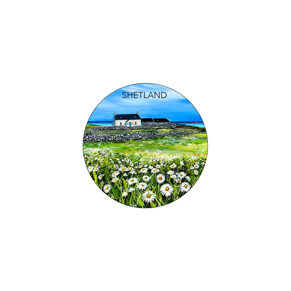 A field of daisies magnet