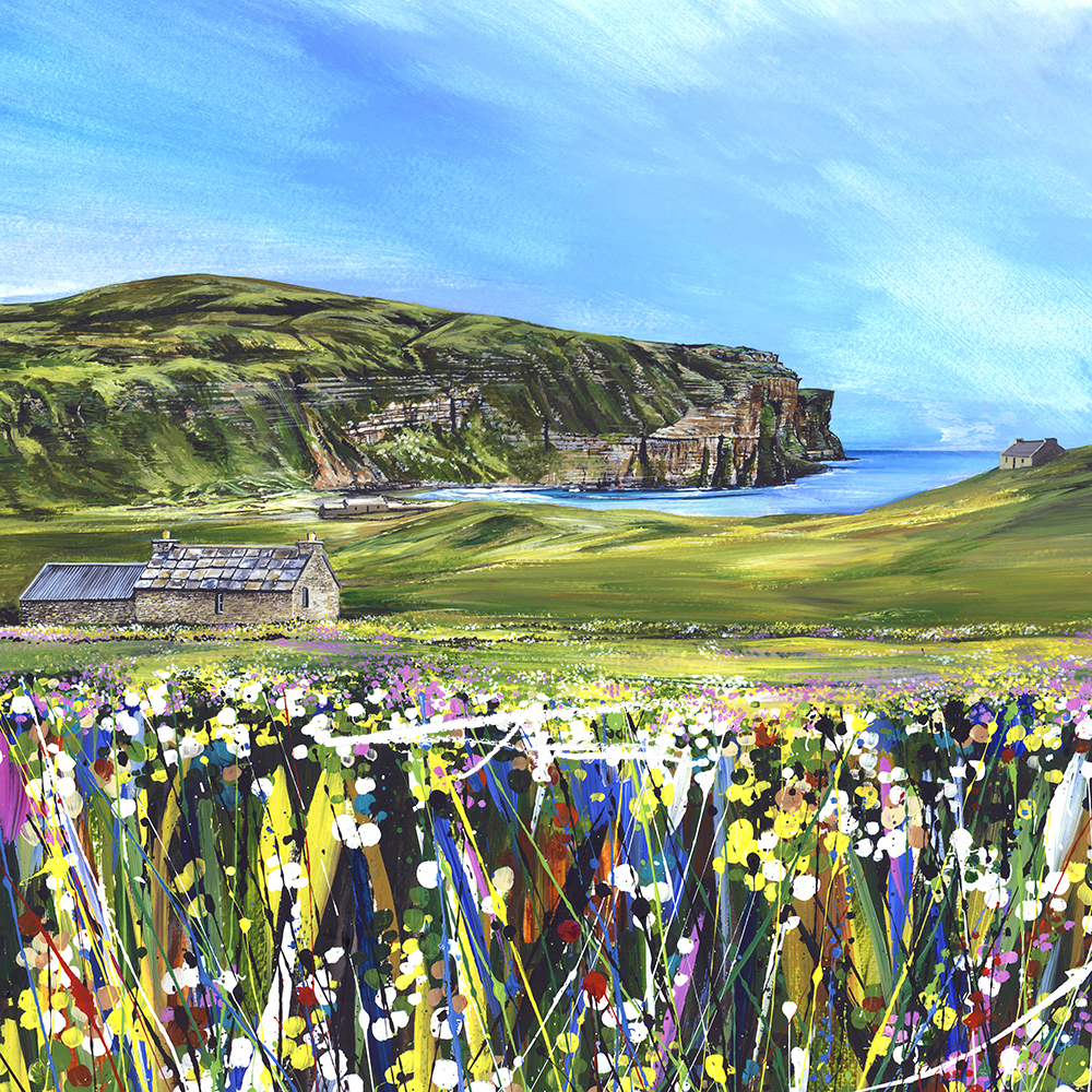 Summers Day at Rackwick Bay (Orkney)